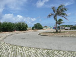 TCObg1