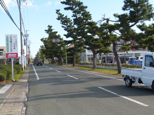PX507