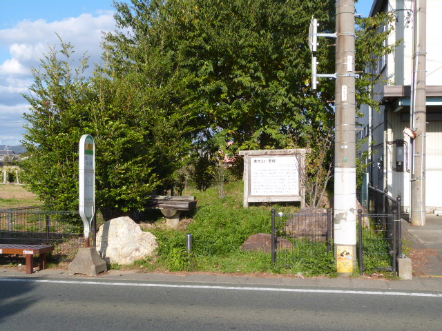 PX510