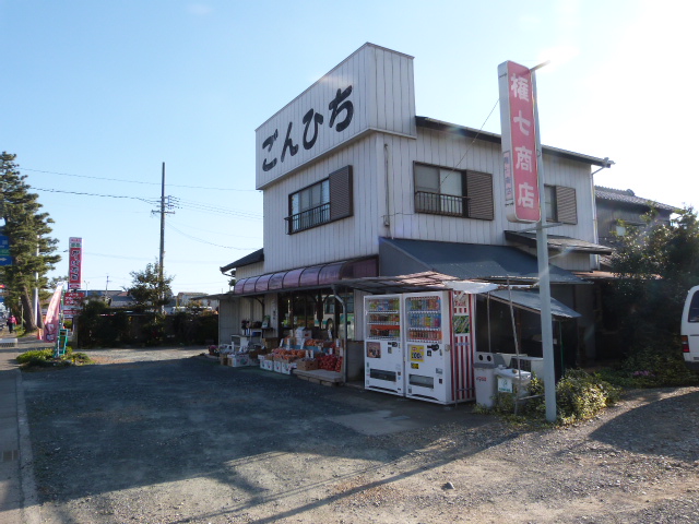 PX515