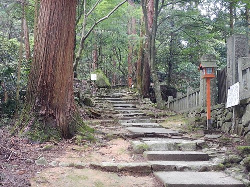 別格077