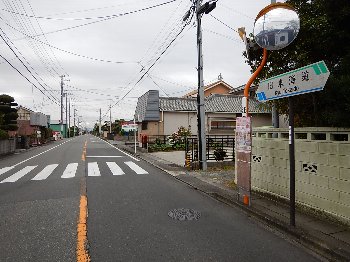 三島916