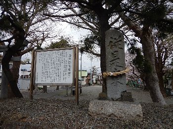 三島946