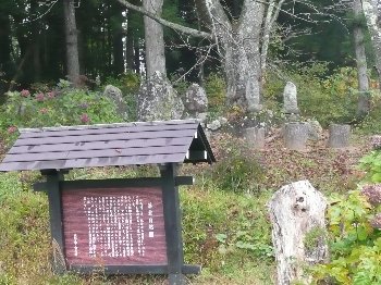 八方610