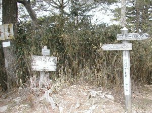 南奥阿須迦利岳