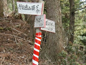 南奥行仙3