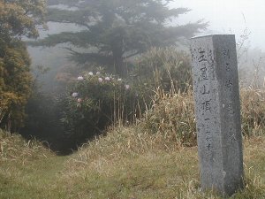 쉜ʒuR
