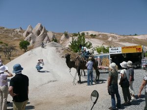 トルコ2ラクダ