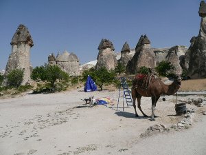 トルコ2キノコ2
