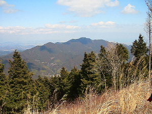白堀坂山