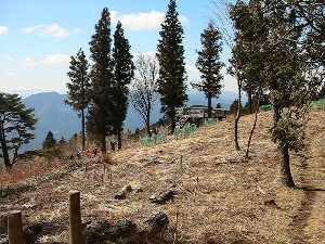 白山頂