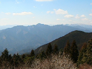 白局岳
