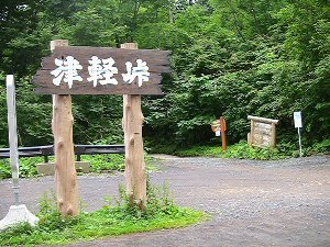 青森白神山地4
