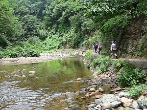 青森白神山地5