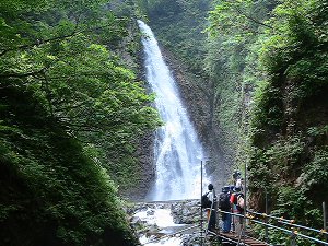 青森白神山地9