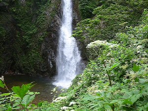 青森白神山地11